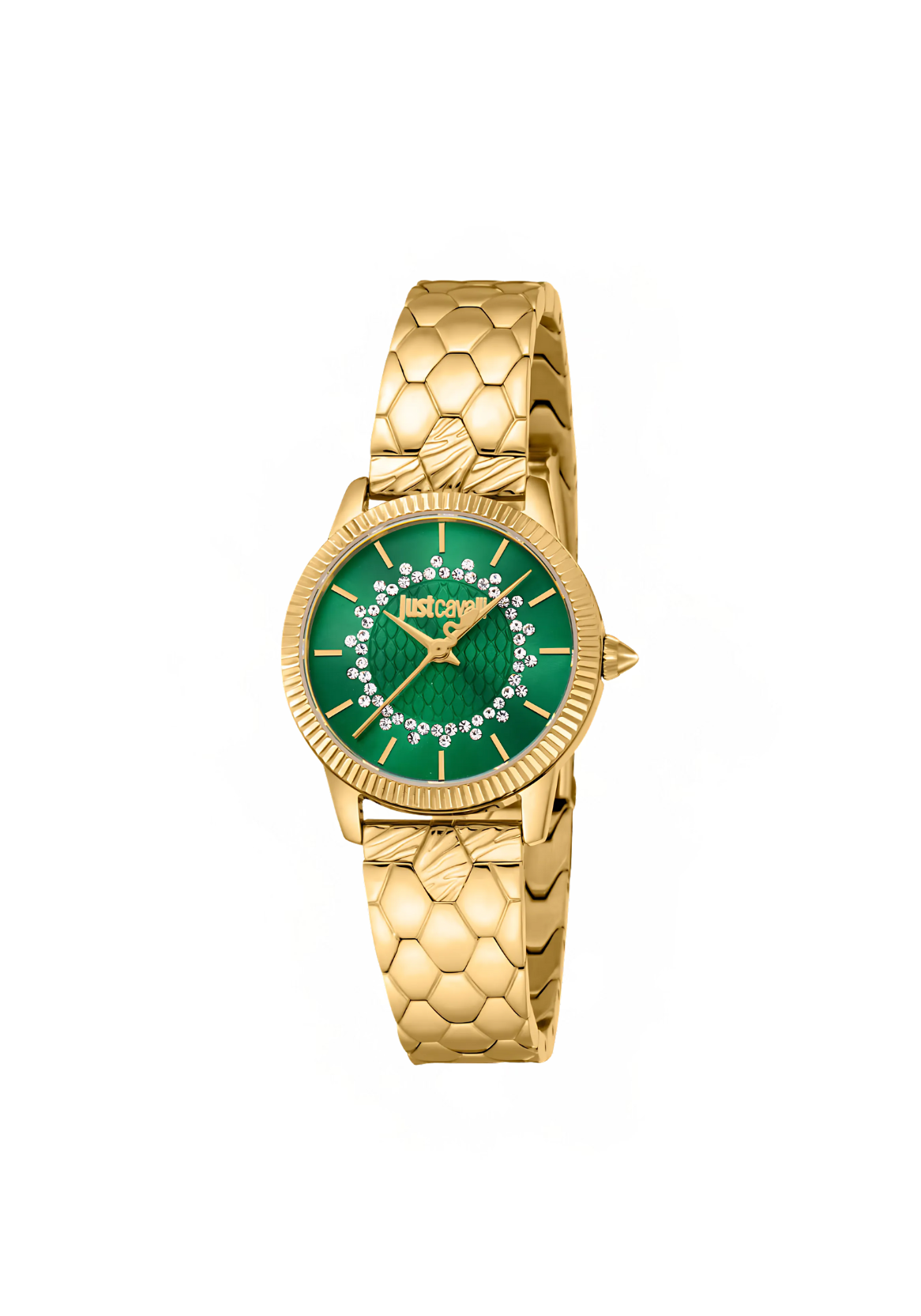 just-cavalli-glam-chic-watch---lad-3h-ss-green-jc1l258m0245