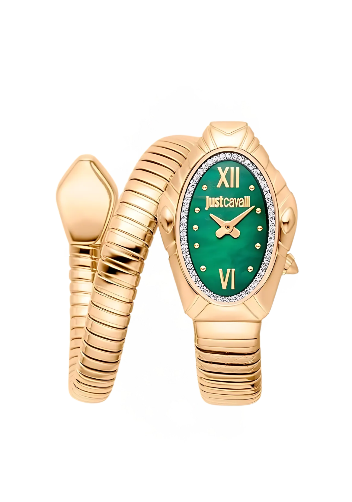 Just cavalli signature snake watch - jc1l357m0035