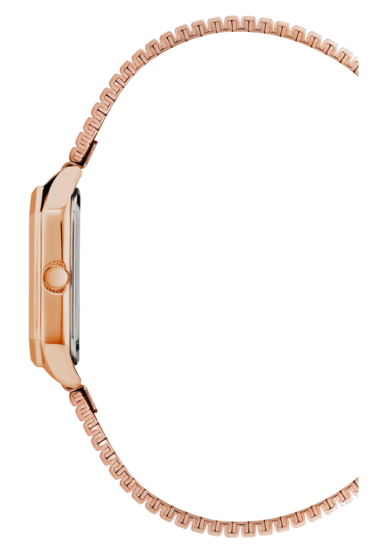 Anne Klein Ladies Watch AK3980RDRG