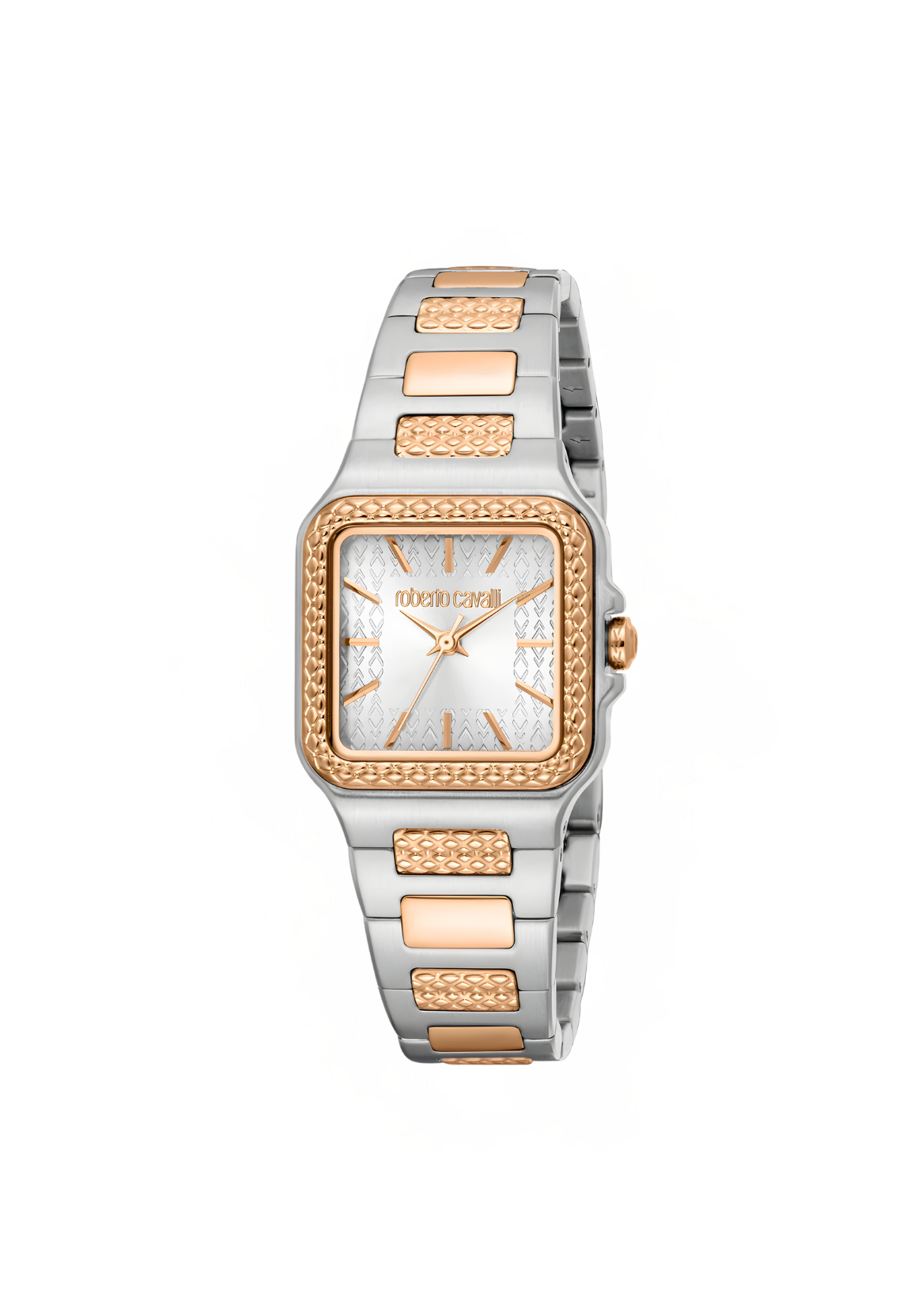 Roberto Cavalli Watches - RC5L170M0065