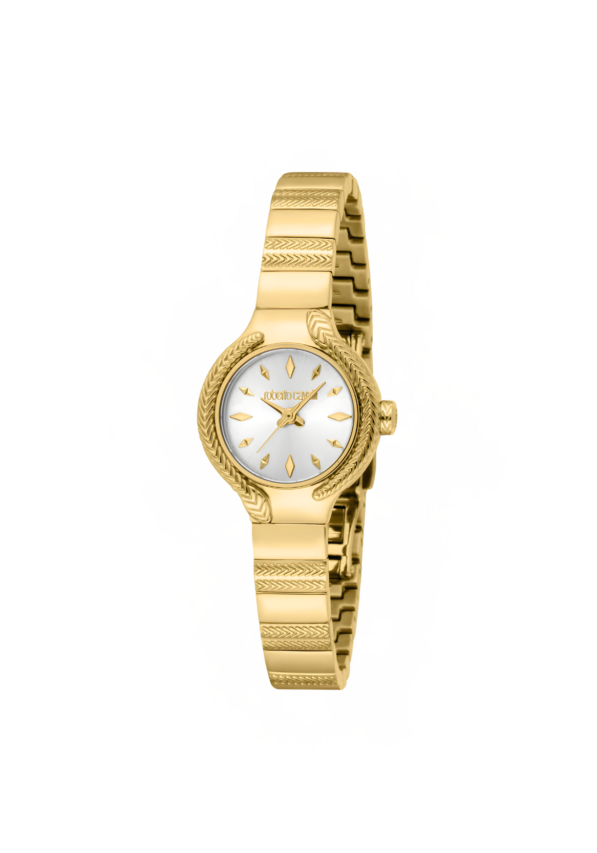 Roberto Cavalli Watches - RC5L155M0055
