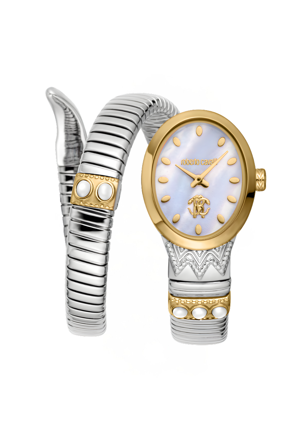Roberto Cavalli Watches - RC5L104M0055