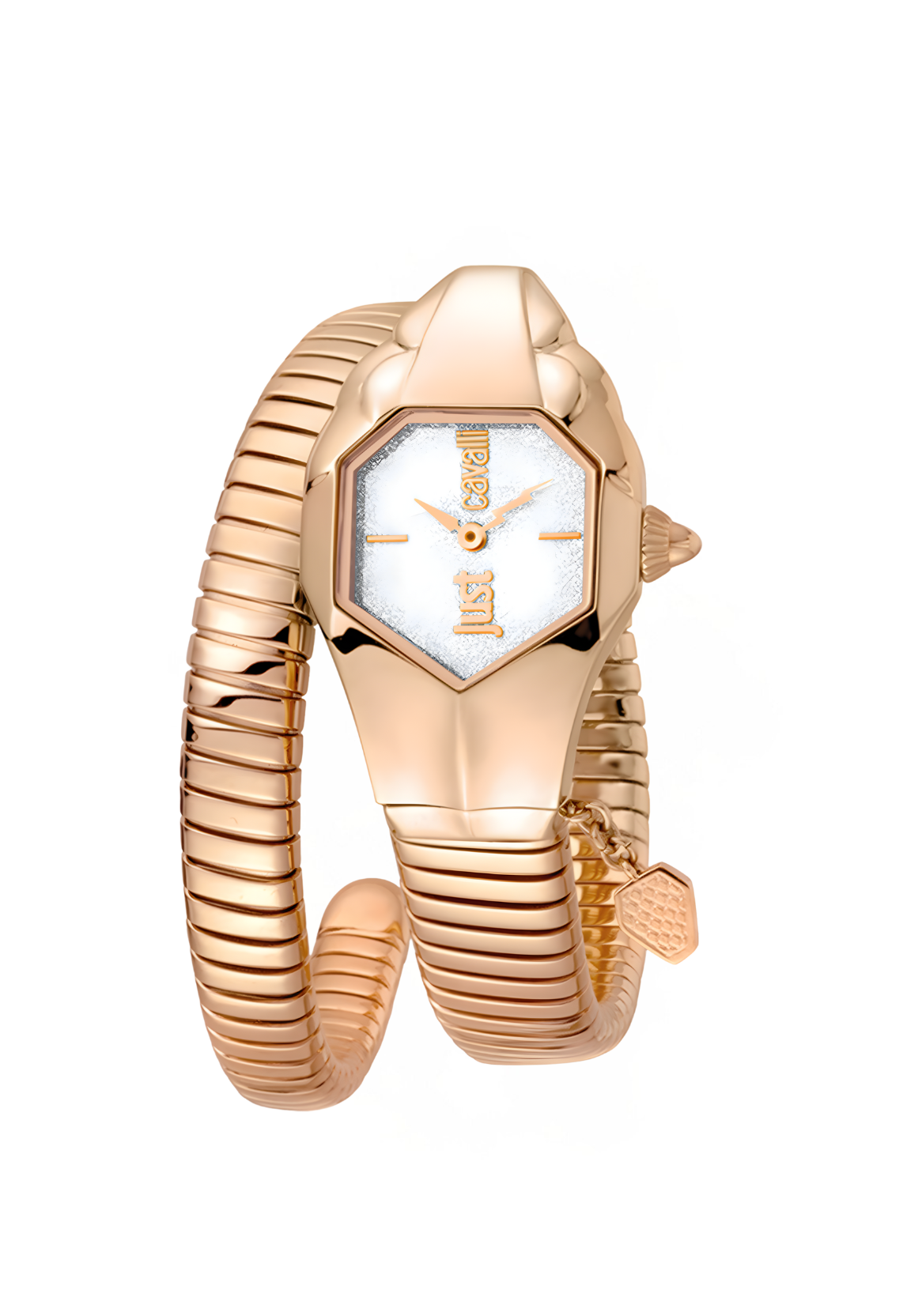 Just Cavalli Watches -JC1L001M0155