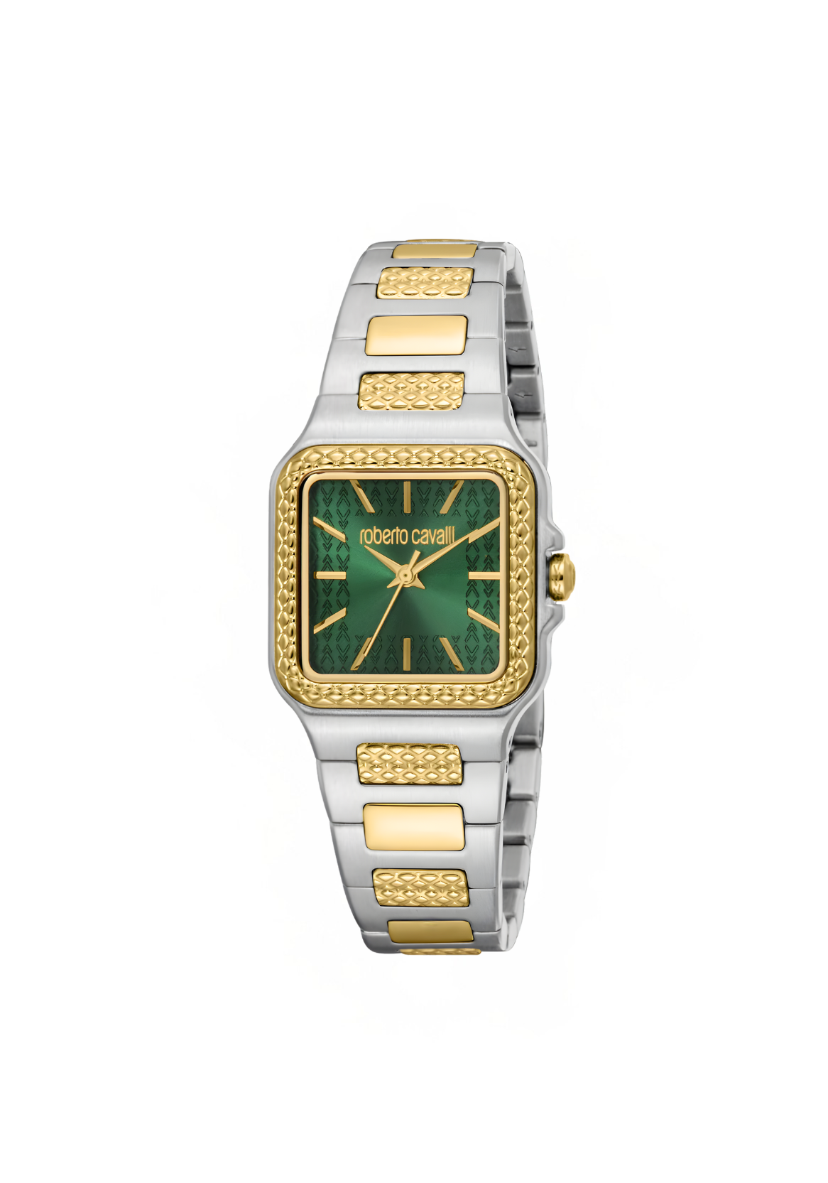 Roberto Cavalli Watches - RC5L170M0055