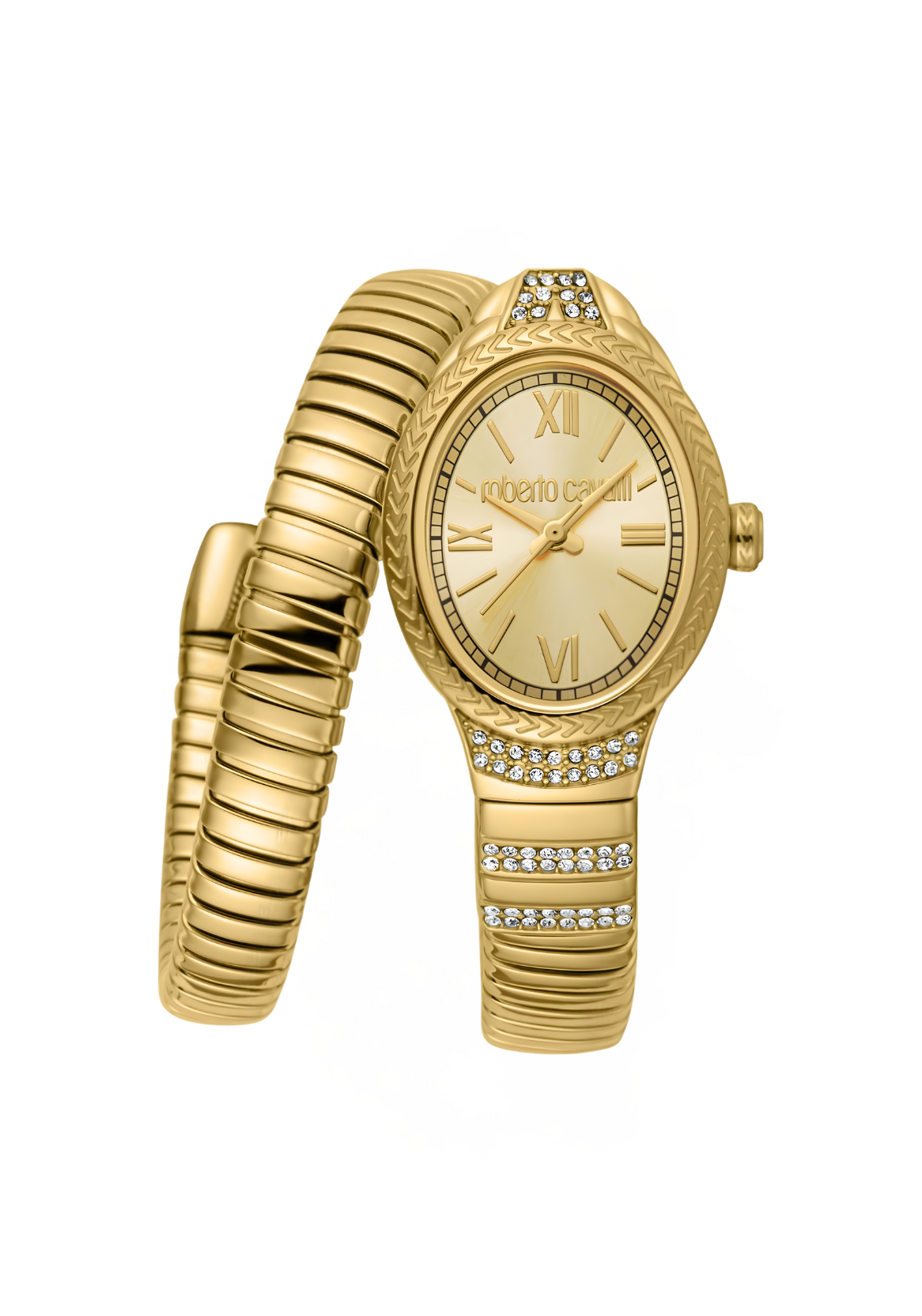 Roberto Cavalli Watches - RC5L151M0035
