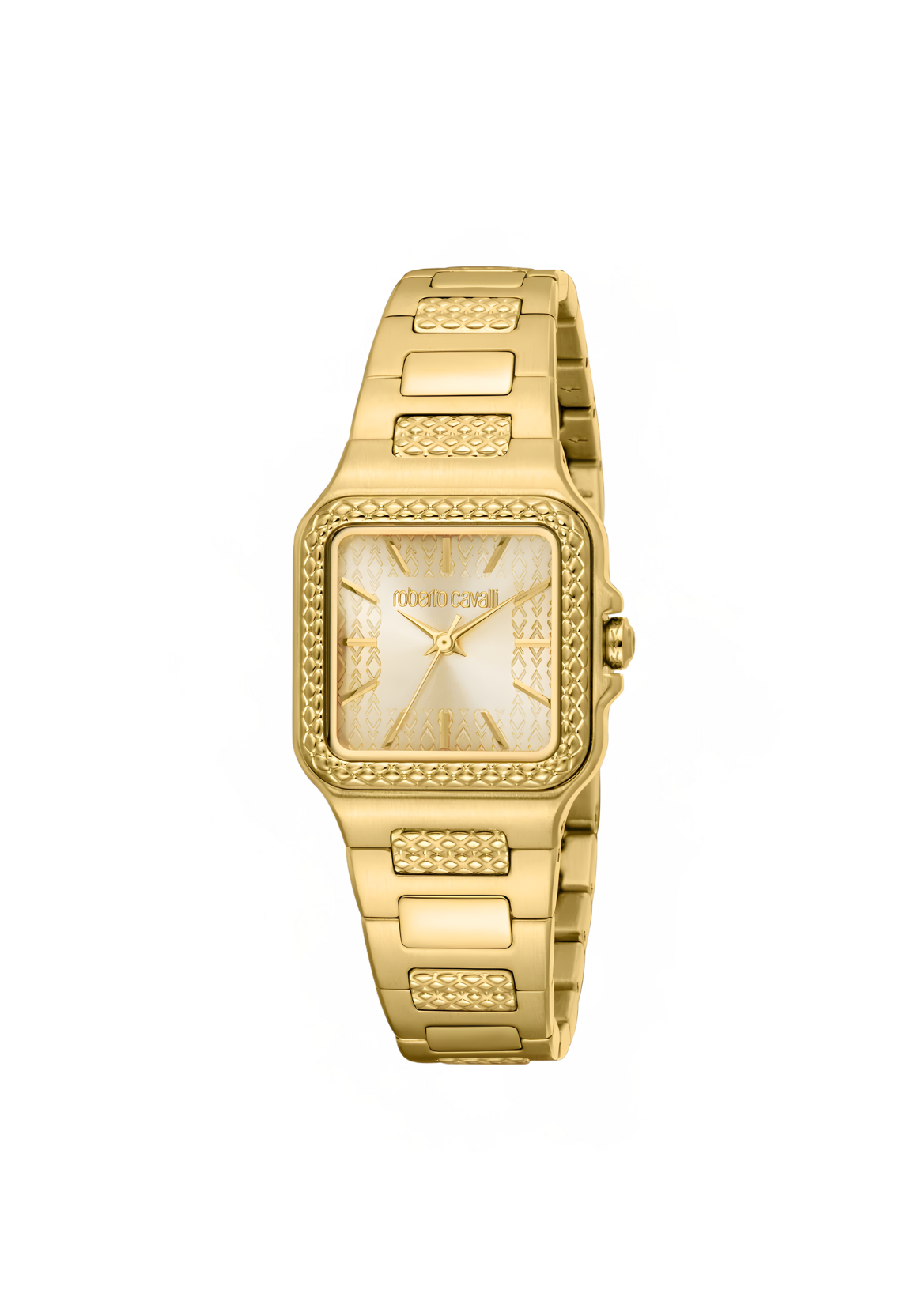 Roberto Cavalli Watches - RC5L170M0035