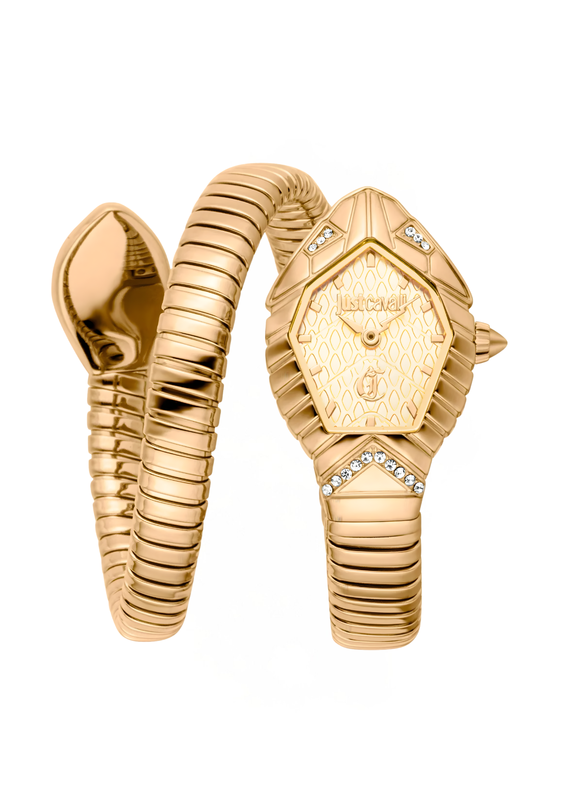 Just Cavalli Watches - JC1L356M0025