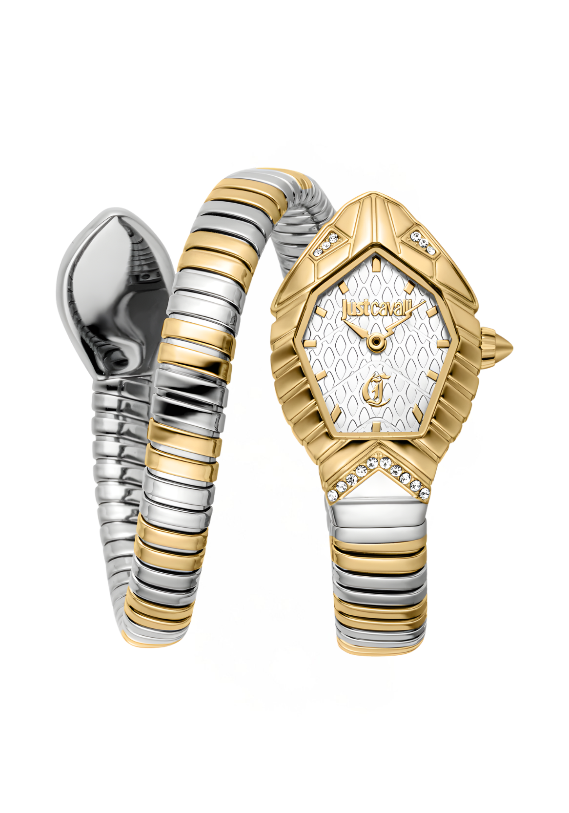 Just Cavalli Watches - JC1L356M0055