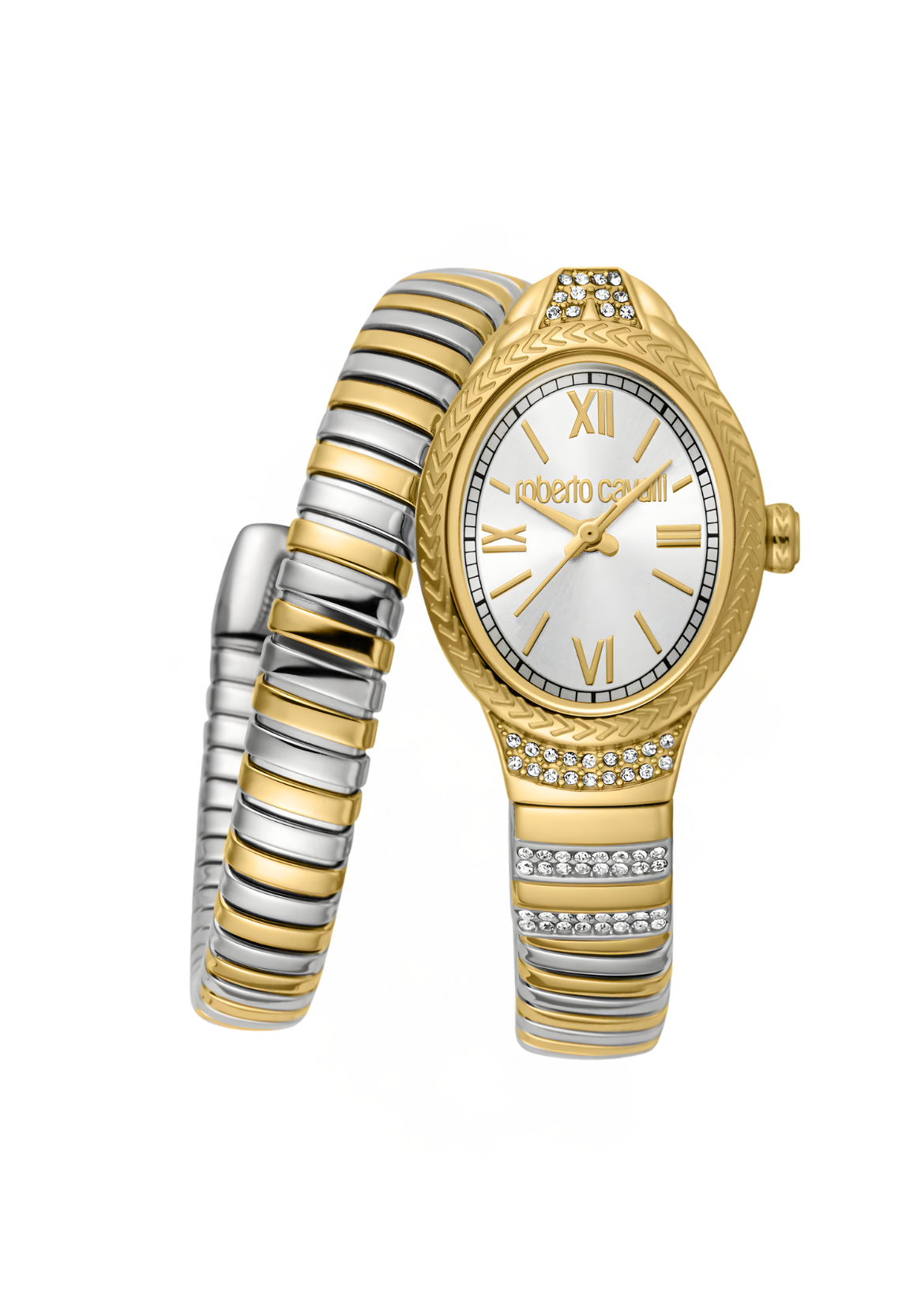 Roberto Cavalli Watches - RC5L151M0065