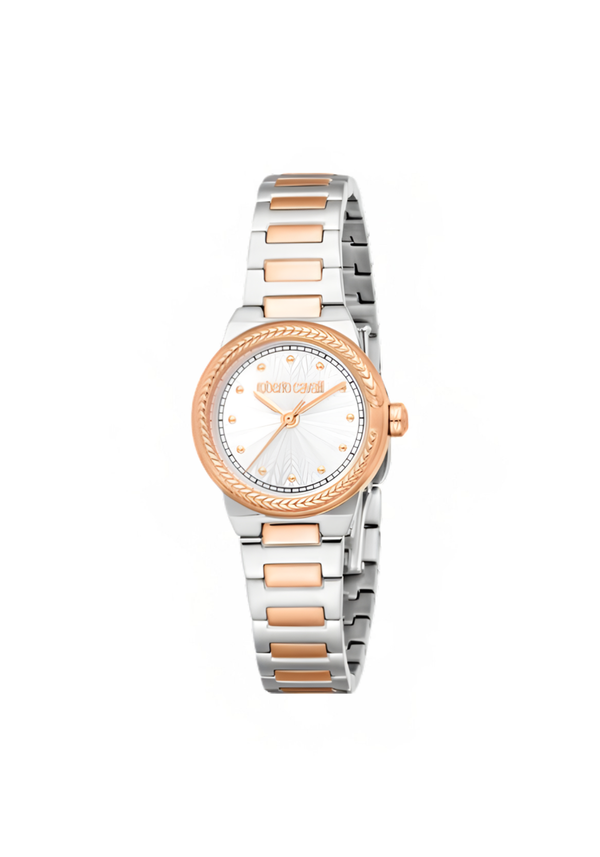Roberto Cavalli WatchesRC5L117M0075