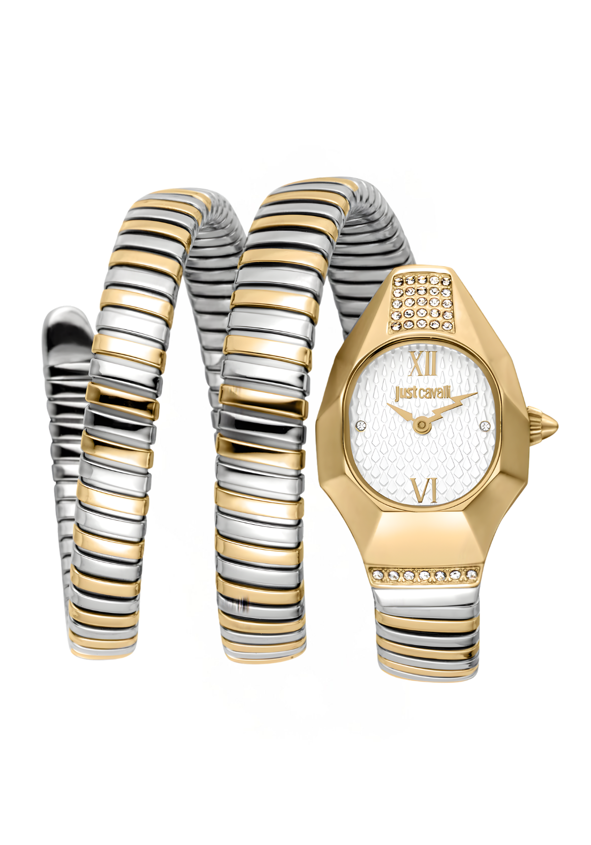 Just Cavalli Watches - JC1L397M0065