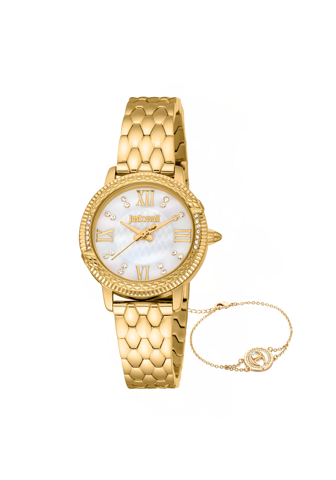 Just Cavalli Watches - JC1L276M0055