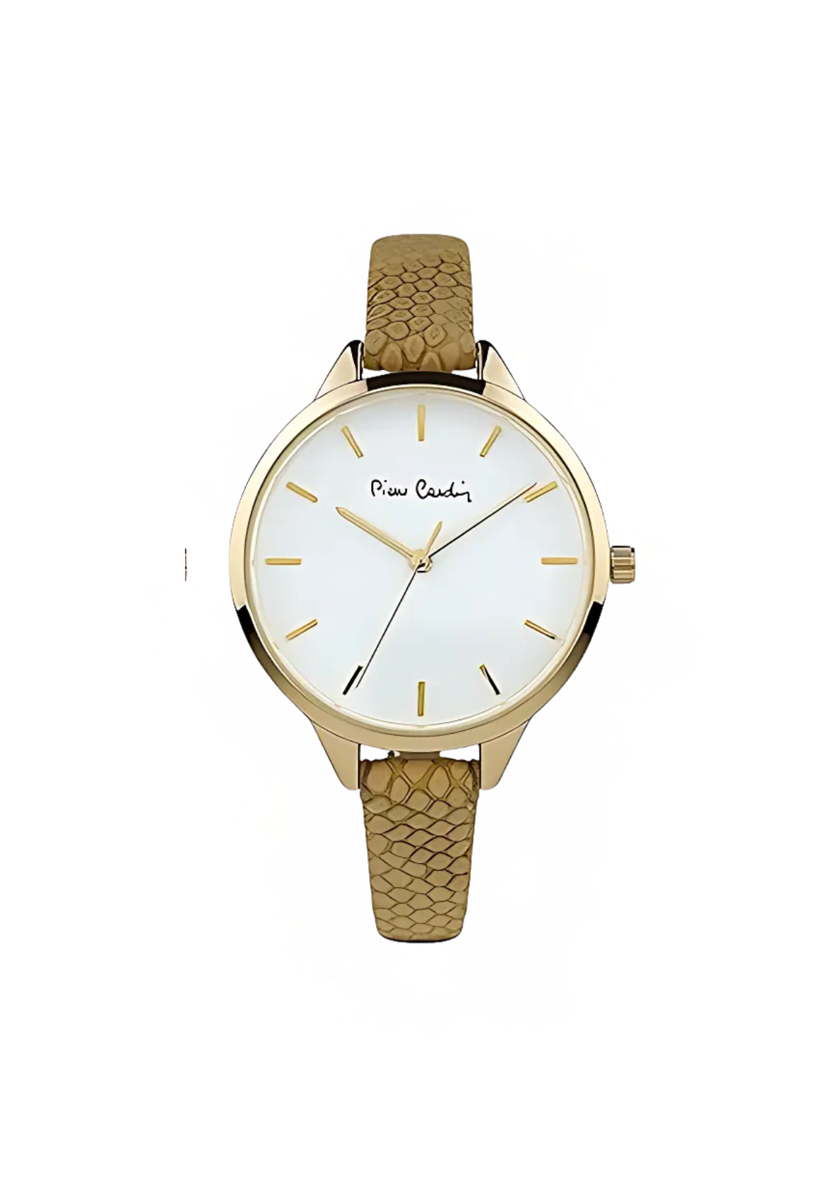 Pierre Cardin Woman Special Watch Set - PCX7967L364